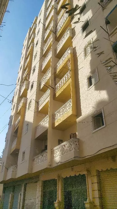 شقة للبيع برج الحمد ش سنتر بولا هانوفيل اسكندرية