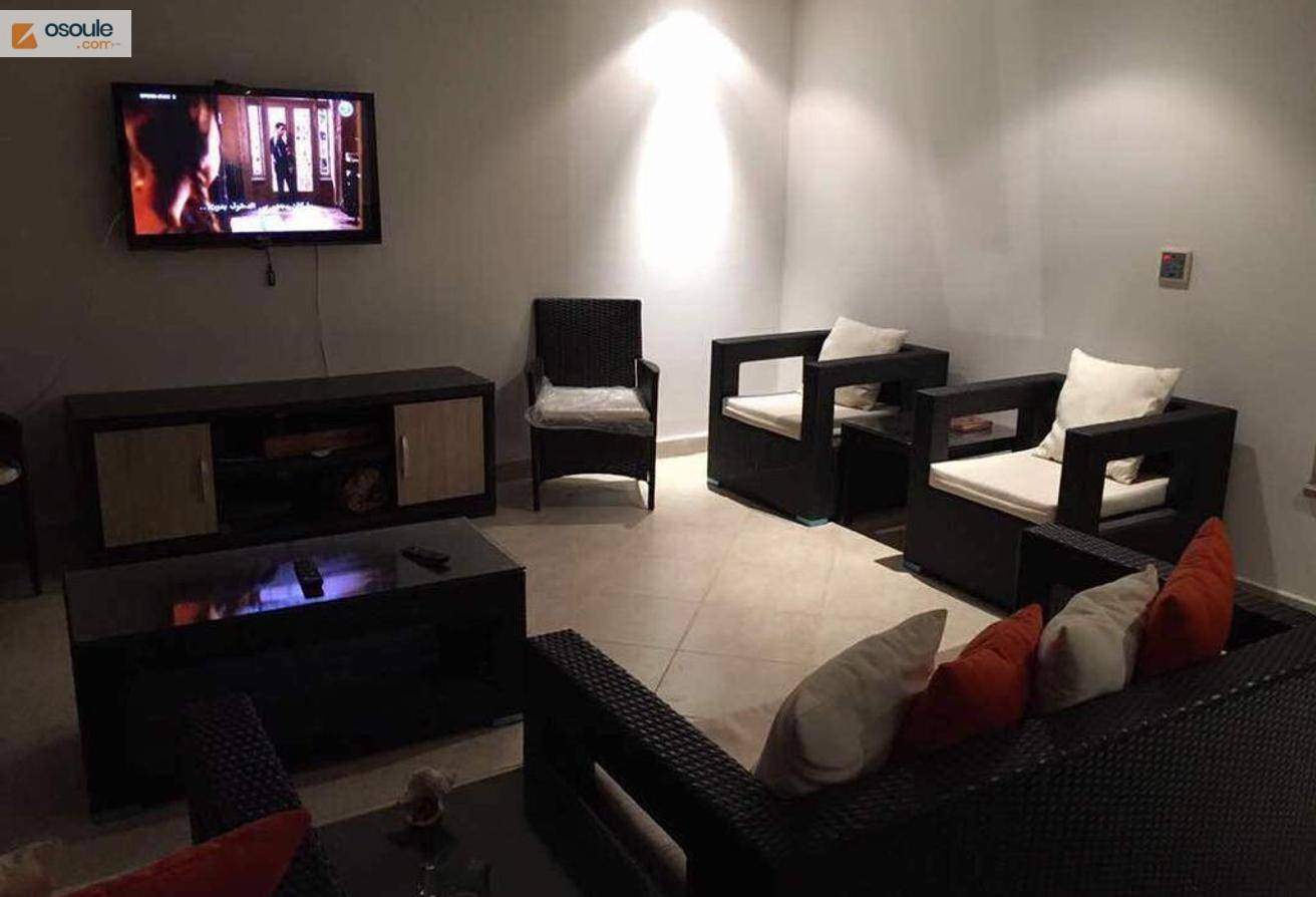 villa fully furnished for rent fantastic price