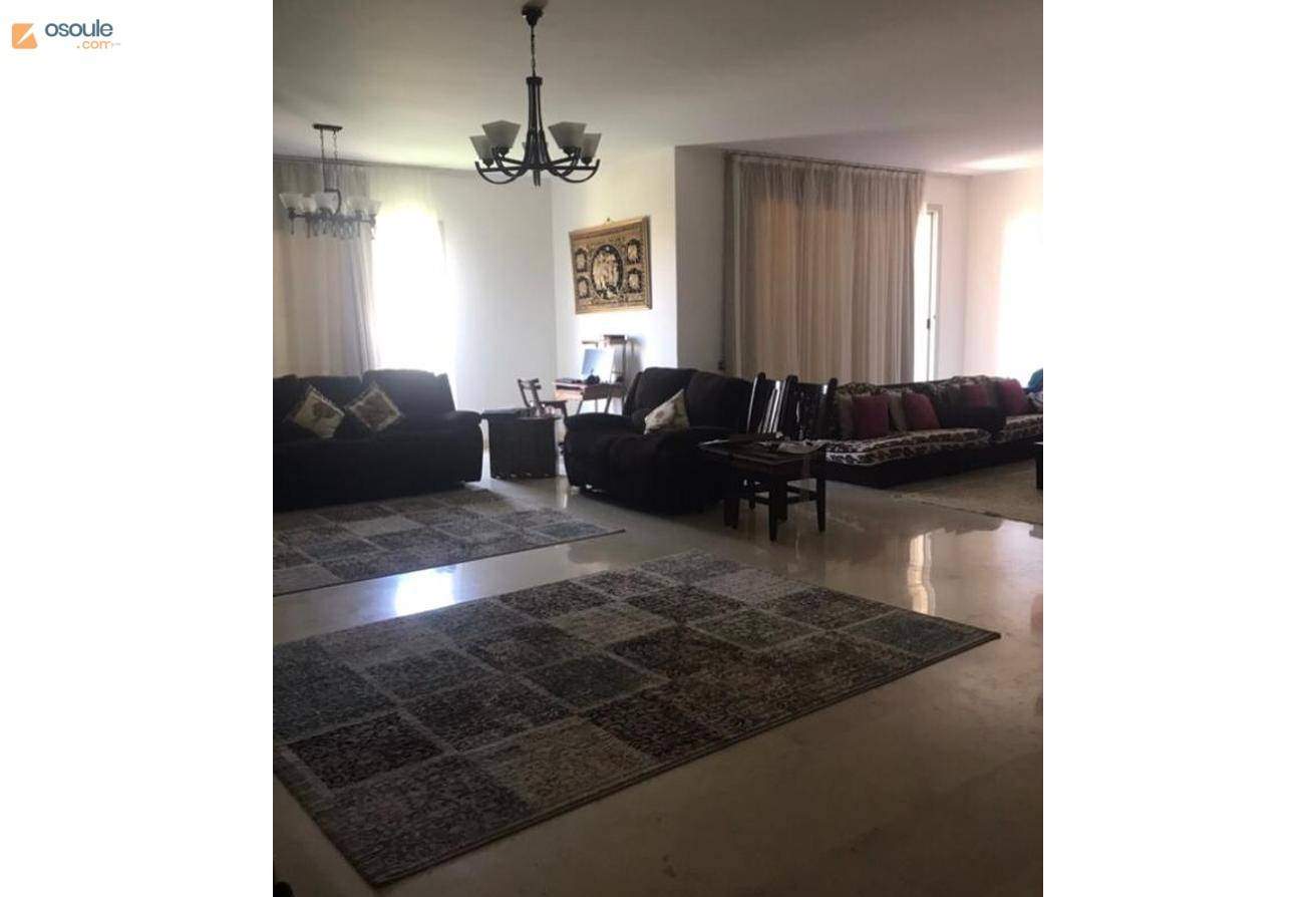For Rent Penthouse Fully Furnished in- Palm Parks