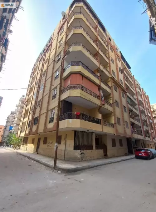 شقة بالاسكندرية بابو يوسف شارع حسنى مبارك
