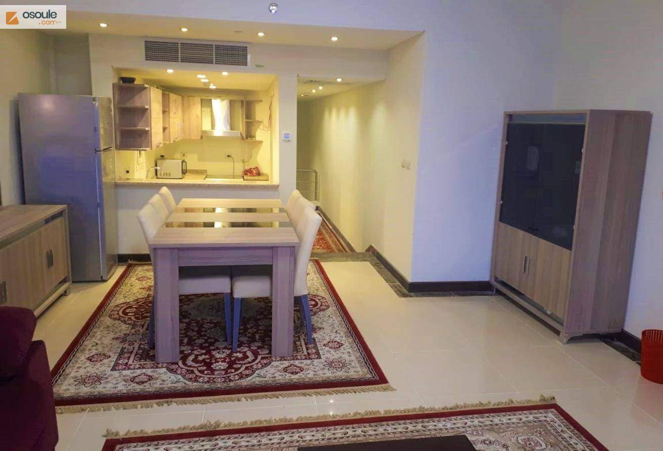 Apartment for Rent Furnished in Porto New Cairo .